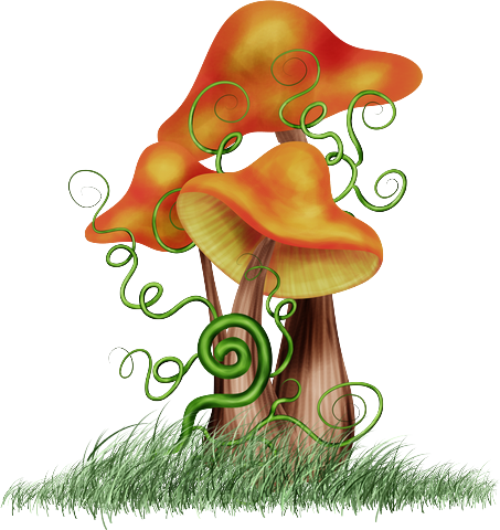 CHAMPIGNONS