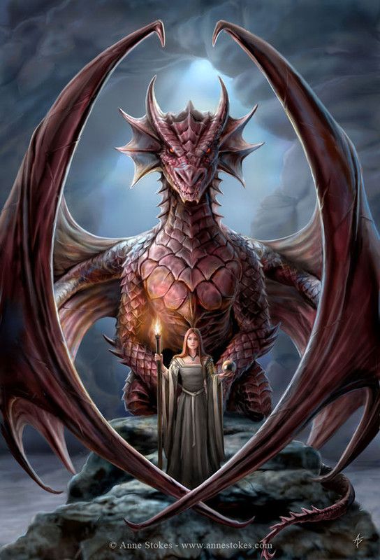 DRAGON