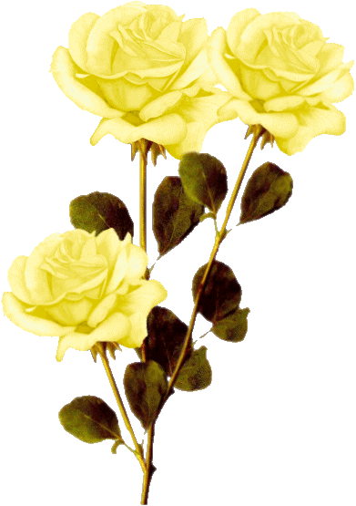 clipart rose jaune - photo #6