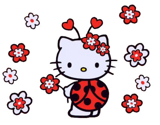 hello kitty coccinelle