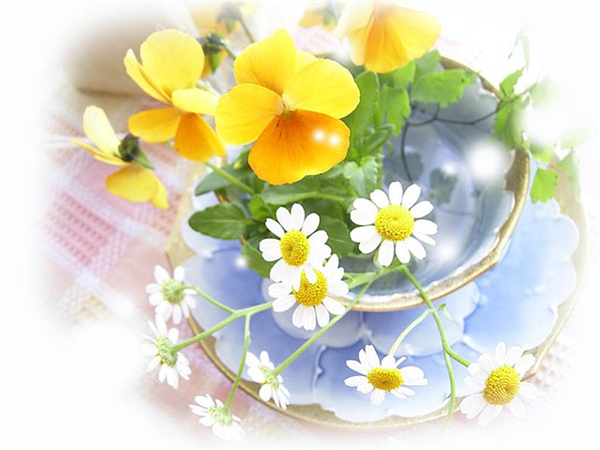9026a474.png