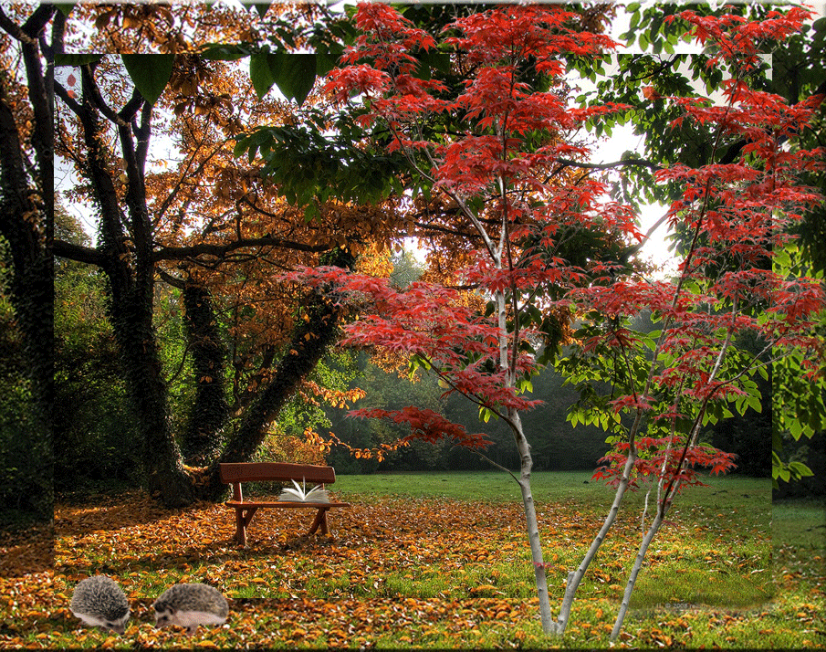 PAYSAGE