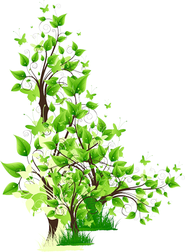 ACESSOIRE