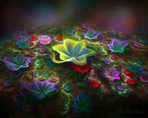 FRACTAL